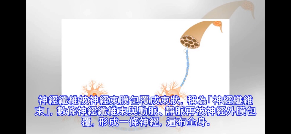 002645x2ktnbepxhbkbzxh.jpg
